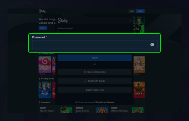 Stake India Signin: detailed instructions on how to log in to your account on the platform 4